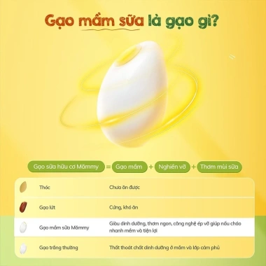 Gạo sữa hữu cơ Mămmy 140g - Ăn dặm bé 6 tháng, không chất bảo quản, ưu đãi 33.305 3