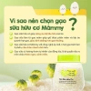 Gạo sữa hữu cơ Mămmy 140g - Ăn dặm bé 6 tháng, không chất bảo quản, ưu đãi 33.305 5