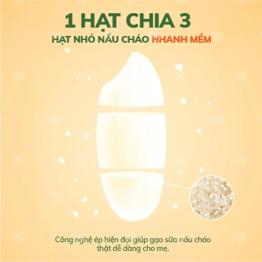 Gạo sữa hữu cơ Mămmy 140g - Ăn dặm bé 6 tháng, không chất bảo quản, ưu đãi 33.305 9