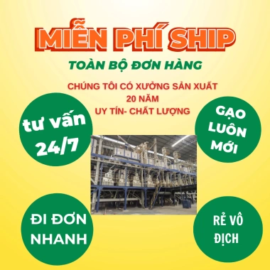 Gạo Tám Thơm Hải Hậu Nam Định Dẻo Vừa Đậm Cơm, Thơm Ngon, Giá Ưu Đãi 89.000₫ 3 Gạo Tám Thơm Hải Hậu Nam Định Dẻo Vừa Đậm Cơm, Thơm Ngon, Giá Ưu Đãi 89.000₫ 3