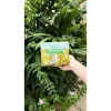 Gạo Tẻ Xát Lứt Ruộng Rươi Rueco 1kg - Hạt ngon, dinh dưỡng, giá ưu đãi 98.750₫ XanhSam Organic 6