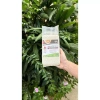 Gạo Tẻ Xát Lứt Ruộng Rươi Rueco 1kg - Hạt ngon, dinh dưỡng, giá ưu đãi 98.750₫ XanhSam Organic 7