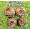Gáo tổ chim, tổ chuột, tổ sóc, vẹt - Mài bóng đk 8-16cm, giá sỉ 19.000 VND