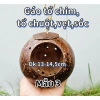 Gáo tổ chim, tổ chuột, tổ sóc, vẹt - Mài bóng đk 8-16cm, giá sỉ 19.000 VND 2