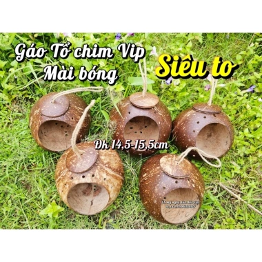 Gáo tổ chim, tổ chuột, tổ sóc, vẹt - Mài bóng đk 8-16cm, giá sỉ 19.000 VND
