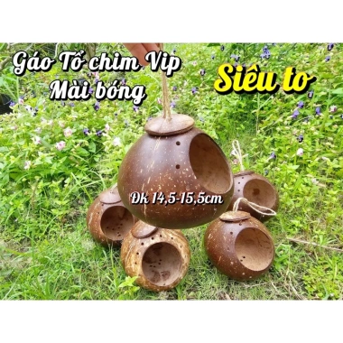 Gáo tổ chim, tổ chuột, tổ sóc, vẹt - Mài bóng đk 8-16cm, giá sỉ 19.000 VND