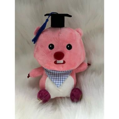Gấu bông hải ly hồng Loopy 30cm kèm đèn và thiệp - Quà tặng tốt nghiệp cử nhân
