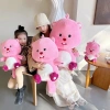Gấu Bông Hải Ly Loopy Hồng 60cm - Đồ chơi siêu dễ thương, giảm giá 240k 6