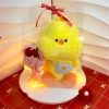 Gấu Bông HoảTốcHCM Túi Quà Tặng Sinh Nhật, Người Yêu, 8/3, 20-10, Valentine - Giá 54,900đ 5