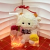 Gấu Bông HoảTốcHCM Túi Quà Tặng Sinh Nhật, Người Yêu, 8/3, 20-10, Valentine - Giá 54,900đ 7