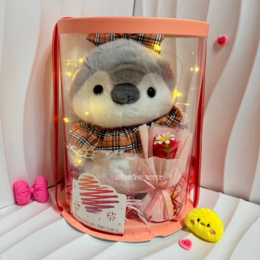 Gấu Bông HoảTốcHCM Túi Quà Tặng Sinh Nhật, Người Yêu, 8/3, 20-10, Valentine - Giá 54,900đ 10
