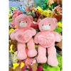 Gấu Bông Hồng Ôm Tim LOVE 1m Siêu Mềm - Gấu Teddy, Quà Sinh Nhật Valentine, 595k 3