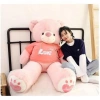 Gấu bông Teddy áo hoodie cao cấp Quà Tặng Crush, bạn bè, 14/2, 8/3, 20/10 Giá 260k 3