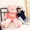 Gấu bông Teddy áo hoodie cao cấp Quà Tặng Crush, bạn bè, 14/2, 8/3, 20/10 Giá 260k 5