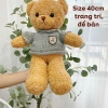 Gấu Bông Teddy Hama Chỉ Mềm Mượt Cao Cấp – Quà Tặng Ý Nghĩa, Giá 110k 9