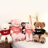 Gấu Bông Teddy Hoodie ANVIHOME Siêu Xinh - Quà Tặng Người Yêu, Giá Giảm 550.000₫ 2