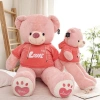 Gấu Bông Teddy Hoodie ANVIHOME Siêu Xinh - Quà Tặng Người Yêu, Giá Giảm 550.000₫ 6