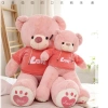 Gấu Bông Teddy Hoodie ANVIHOME Siêu Xinh - Quà Tặng Người Yêu, Giá Giảm 550.000₫ 7