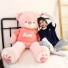 Gấu Bông Teddy Hoodie ANVIHOME Siêu Xinh - Quà Tặng Người Yêu, Giá Giảm 550.000₫ 9