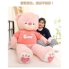 Gấu Bông Teddy Hoodie ANVIHOME Siêu Xinh - Quà Tặng Người Yêu, Giá Giảm 550.000₫ 10