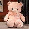 Gấu bông teddy siêu to cỡ lớn ANVIHOME - Quà tặng người yêu, bạn gái sang trọng, giảm còn 550.000đ 3