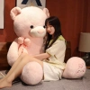Gấu bông teddy siêu to cỡ lớn ANVIHOME - Quà tặng người yêu, bạn gái sang trọng, giảm còn 550.000đ 6