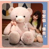 Gấu bông teddy siêu to cỡ lớn ANVIHOME - Quà tặng người yêu, bạn gái sang trọng, giảm còn 550.000đ 8
