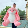 Gấu bông thỏ mặt quạo cao cấp Bear.Om Store - Giá 129k (giảm từ 159.960) 8