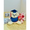 Gấu bông tốt nghiệp 20cm in tên và logo lông trơn, giá sỉ 45k, tặng giấy gói quà 4