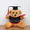 Gấu bông tốt nghiệp 20cm in tên và logo lông trơn, giá sỉ 45k, tặng giấy gói quà 8