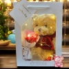 Gấu Bông Túi Quà Tặng HỏaTốc - Sinh Nhật, Valentine, 8/3, 20/10, Giá 59.900 VNĐ 3