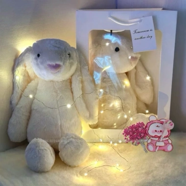 Gấu Bông Túi Quà Tặng HỏaTốc - Sinh Nhật, Valentine, 8/3, 20/10, Giá 59.900 VNĐ