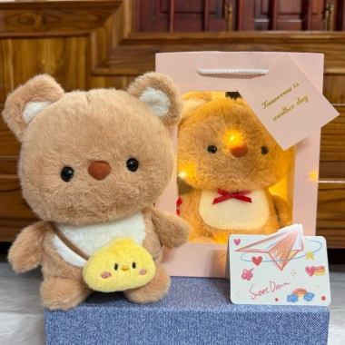 Gấu Bông Túi Quà Tặng HỏaTốc - Sinh Nhật, Valentine, 8/3, 20/10, Giá 59.900 VNĐ