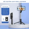 Gậy Chụp Ảnh 3 Chân Quay Video Livestream Đèn LED, Giá Đỡ Điện Thoại, Chống Rung, Điều Khiển Từ Xa - Giá Ưu Đãi 112k 8