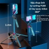 Gậy chụp ảnh 4 chân Tripod 180cm cho điện thoại livestream quay phim - có remote, giá ưu đãi 220k 3
