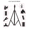 Gậy Livestream 2.1m - Đỡ điện thoại, quay TikTok, chụp hình, giảm còn 95.000₫ 2