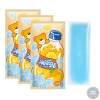 Gel Dán Lạnh 10 Gói 11x4cm - Làm Mát, Chống Say Nắng, Hạ Nhiệt Điện Thoại 33k 7