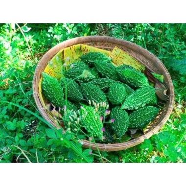 Gel Massage Phục Thể An 50gr - Giảm Tê Bì, Nhức Mỏi Chân Tay, Xương Khớp 6