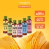 Gel tắm cô đặc Yves Rocher 100ml - Nhiều mùi hương, giá chỉ 180.000 VND