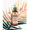 Gel tắm cô đặc Yves Rocher 100ml - Nhiều mùi hương, giá chỉ 180.000 VND 4