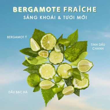 Gel Tắm Moroccanoil Bergamote Fraîche – Dưỡng ẩm, hương bergamot tươi, giá 510.000đ 2