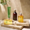 Gel Tắm Moroccanoil Bergamote Fraîche – Dưỡng ẩm, hương bergamot tươi, giá 510.000đ 6
