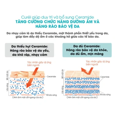 Gel Tẩy Trang Curel Intensive Moisture Care 130g - Dưỡng ẩm sâu, không khô, giá 321.000₫ 6 Gel Tẩy Trang Curel Intensive Moisture Care 130g - Dưỡng ẩm sâu, không khô, giá 321.000₫ 6