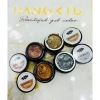 Gel Vẽ Nhũ Siêu Sáng Hàng Chính Hãng - Độ Bám Cao, Giá Chỉ 80k, Siêu Tiết Kiệm