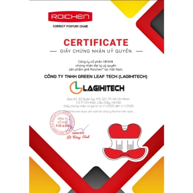 Ghế chỉnh dáng Roichen cho Nam Nữ Trẻ Em - Bảo hành 1 năm - Giá hủy diệt 697.000₫