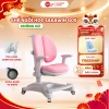 Ghế chống gù cao cấp Sakawin G05 – Chiều cao điều chỉnh, khóa bánh tự động, đệm non