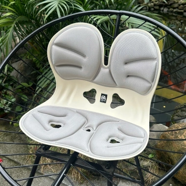 Ghế Công Thái Học Cao Cấp FA Nhật Bản - Chỉnh Dáng, Chống Gù, Đỡ Đau Lưng 379k 2