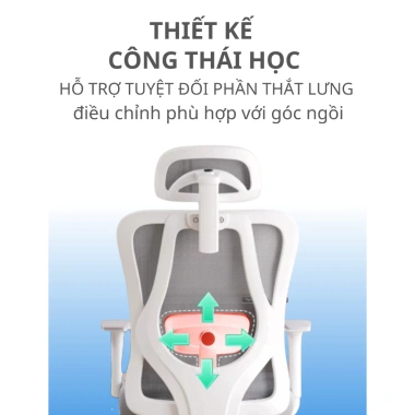 Ghế Công Thái Học CTH-95-LXR RESDANI – Đỡ lưng 130°, lưới thoáng khí, chỉ 1.686.000₫ 5