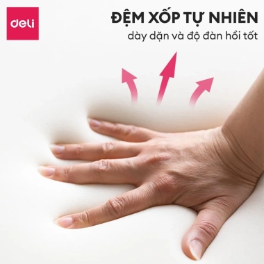 Ghế Công Thái Học DELI Giám Đốc Xoay 360°, Tựa Đầu, Điều Chỉnh Tay Vịn, Giá 2.99 Triệu 3 Ghế Công Thái Học DELI Giám Đốc Xoay 360°, Tựa Đầu, Điều Chỉnh Tay Vịn, Giá 2.99 Triệu 3