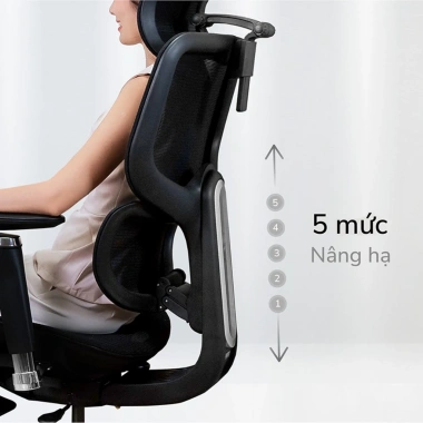 Ghế công thái học Epione FortisChair 2.0 - Giá 4.99 triệu, giảm 18% hỗ trợ lưng, thiết kế hiện đại